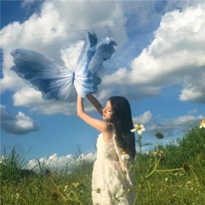 鲨胆小英雄
