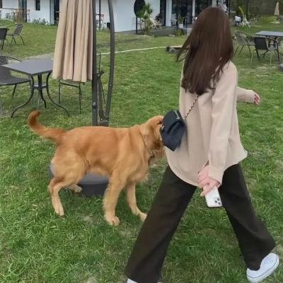 我的古怪家庭